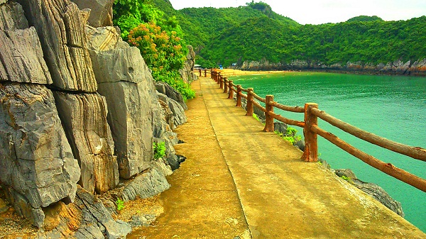 tour du lịch cát Bà hè năm 2016